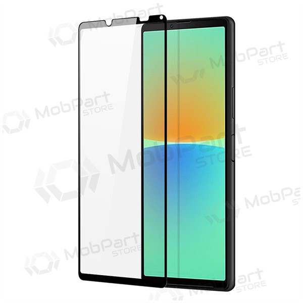 LCD apsauginis stikliukas Dux Ducis Sony Xperia 10 V black